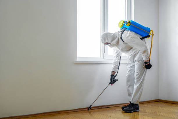 Best Wasp Removal Services  in Westwood, KY
