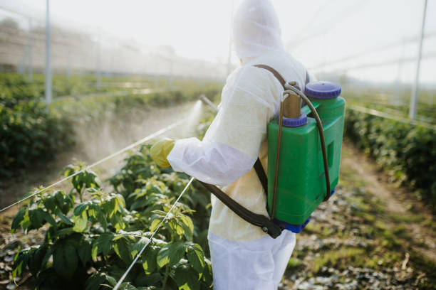 Trusted Westwood, KY Pest Control Experts